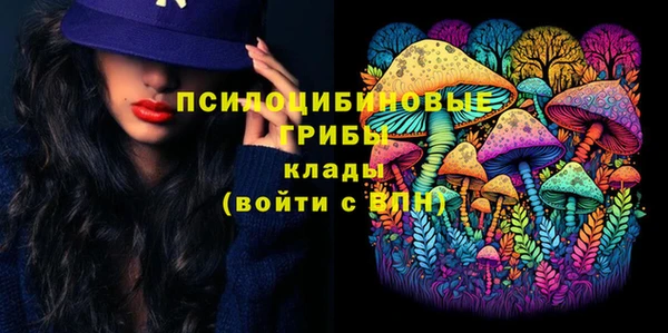 ECSTASY Бронницы